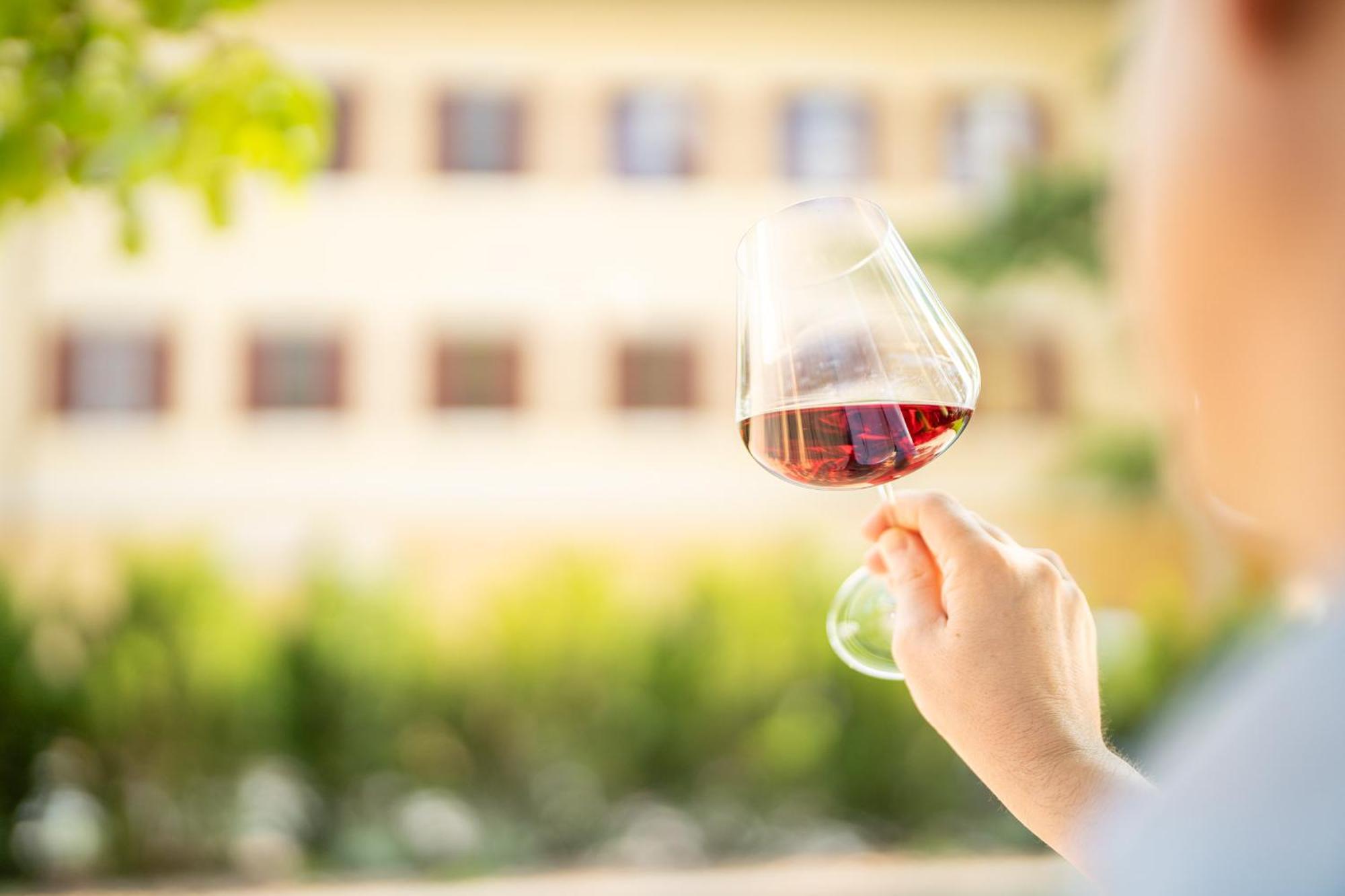 Castel Sallegg Suites Adults Only Caldaro sulla Strada del Vino Exterior foto